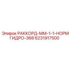 6231917500 РАККОРД-ММ-1-1-НОРМГИДРО-368 Epiroc