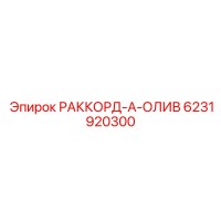 6231920300 РАККОРД-А-ОЛИВ Epiroc
