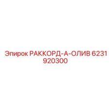 6231920300 РАККОРД-А-ОЛИВ Epiroc