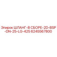 6245567800 ШЛАНГ-В СБОРЕ-2D-BSP-DN-25-LG-425 Эпирок