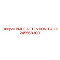 6245568300 BRIDE-RETENTION-EAU Epiroc