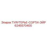 6245570400 ТУЯУТЕРЬЕ-СОРТИ-ЭЙР Epiroc