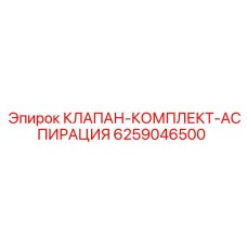 6259046500 КЛАПАН-КОМПЛЕКТ-АСПИРАЦИЯ Epiroc