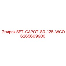 6265669900 SET-CAPOT-80-125-WCO Epiroc