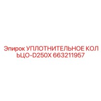 663211957 УПЛОТНИТЕЛЬНОЕ КОЛЬЦО-D250X Epiroc