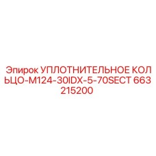 663215200 УПЛОТНИТЕЛЬНОЕ КОЛЬЦО-M124-30IDX-5-70SECT Epiroc