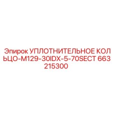 663215300 УПЛОТНИТЕЛЬНОЕ КОЛЬЦО-M129-30IDX-5-70SECT Epiroc