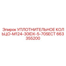 663355200 УПЛОТНИТЕЛЬНОЕ КОЛЬЦО-M124-30IDX-5-70SECT Epiroc