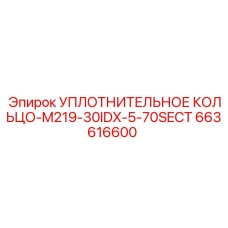 663616600 УПЛОТНИТЕЛЬНОЕ КОЛЬЦО-M219-30IDX-5-70SECT Epiroc