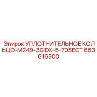 663616900 УПЛОТНИТЕЛЬНОЕ КОЛЬЦО-M249-30IDX-5-70SECT Epiroc