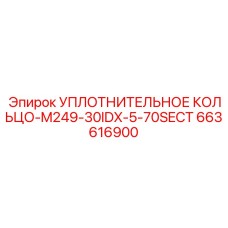 663616900 УПЛОТНИТЕЛЬНОЕ КОЛЬЦО-M249-30IDX-5-70SECT Epiroc