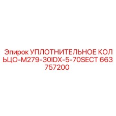 663757200 УПЛОТНИТЕЛЬНОЕ КОЛЬЦО-M279-30IDX-5-70SECT Epiroc