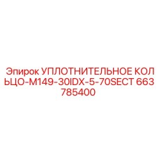 663785400 УПЛОТНИТЕЛЬНОЕ КОЛЬЦО-M149-30IDX-5-70SECT Epiroc