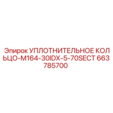 663785700 УПЛОТНИТЕЛЬНОЕ КОЛЬЦО-M164-30IDX-5-70SECT Epiroc