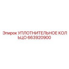 663920900 УПЛОТНИТЕЛЬНОЕ КОЛЬЦО Эпирок