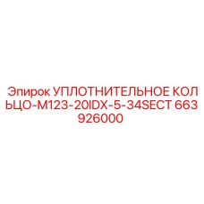 663926000 УПЛОТНИТЕЛЬНОЕ КОЛЬЦО-M123-20IDX-5-34SECT Epiroc