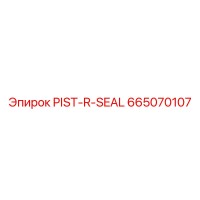665070107 PIST-R-SEAL Epiroc