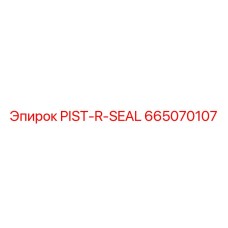 665070107 PIST-R-SEAL Epiroc