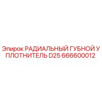 666600012 РАДИАЛЬНЫЙ ГУБНОЙ УПЛОТНИТЕЛЬ D25 Epiroc