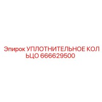 666629500 УПЛОТНИТЕЛЬНОЕ КОЛЬЦО Epiroc
