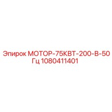 1080411401 МОТОР-75КВТ-200-В-50Гц Epiroc