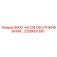 2205601397 - 8000 ЧАСОВ ОБСЛУЖИВАНИЯ... | Epiroc