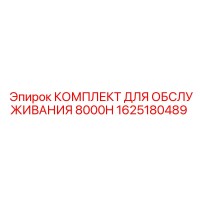 1625180489 КОМПЛЕКТ ДЛЯ ОБСЛУЖИВАНИЯ 8000H Эпирок