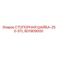 801909000 СТОПОРНАЯ ШАЙБА-250-STL Epiroc