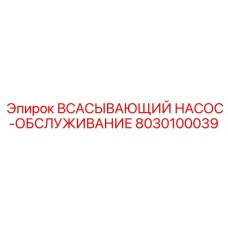8030100039 ВСАСЫВАЮЩИЙ НАСОС-ОБСЛУЖИВАНИЕ Epiroc