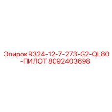 8092403698 R324-12-7-273-G2 QL80 Pilot Epiroc
