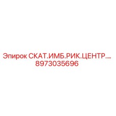 8973035696 СКАТ.ИМБ.РИК.ЦЕНТР.… Epiroc