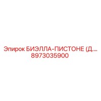 8973035900 БИЭЛЛА-ПИСТОНЕ Epiroc