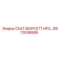 8973036668 СКАТ.МОРСЕТТ.HP3… Epiroc