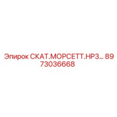 8973036668 СКАТ.МОРСЕТТ.HP3… Epiroc