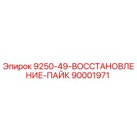 90001971 9250-49-ВОССТАНОВЛЕНИЕ-ПАЙК Epiroc