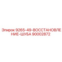 90002872 9265-49-ВОССТАНОВЛЕНИЕ-ШУБА Epiroc