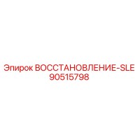 90515798 ВОССТАНОВЛЕНИЕ-SLE (Epiroc)