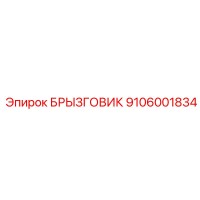 9106001834 БРЫЗГОВИК Epiroc