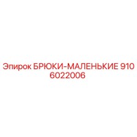 9106022006 БРЮКИ-МАЛЕНЬКИЕ Epiroc