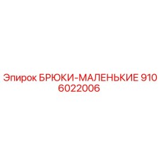 9106022006 БРЮКИ-МАЛЕНЬКИЕ Epiroc