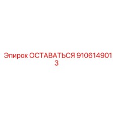 9106149013 ОСТАВАТЬСЯ Эпирок