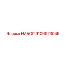 9106973045 НАБОР Epiroc