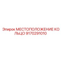 9170291010 МЕСТОПОЛОЖЕНИЕ КОЛЬЦО Epiroc