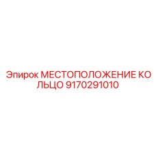9170291010 МЕСТОПОЛОЖЕНИЕ КОЛЬЦО Epiroc