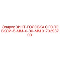 9170293700 ВИНТ-ГОЛОВКА С ГОЛОВКОЙ-5-MM-X-30-MM Epiroc