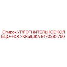 9170293750 УПЛОТНИТЕЛЬНОЕ КОЛЬЦО-НОС-КРЫШКА Epiroc