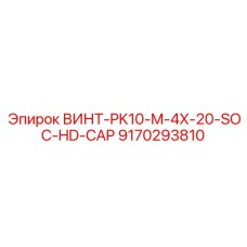 9170293810 ВИНТ-PK10-M-4X-20-SOC-HD-CAP Epiroc