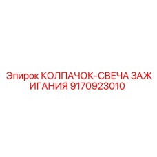 9170923010 КОЛПАЧОК-СВЕЧА ЗАЖИГАНИЯ Epiroc