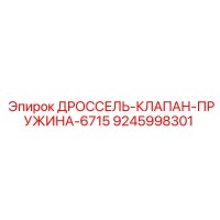 9245998301 ДРОССЕЛЬ-КЛАПАН-ПРУЖИНА-6715 Epiroc
