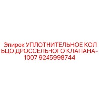 9245998744 УПЛОТНИТЕЛЬНОЕ КОЛЬЦО ДРОССЕЛЬНОГО КЛАПАНА-1007 Epiroc